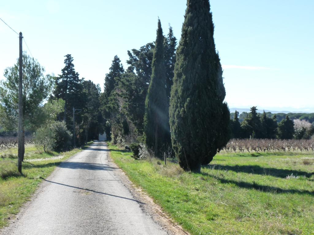 Chateau La Bouriette Moussoulens المظهر الخارجي الصورة