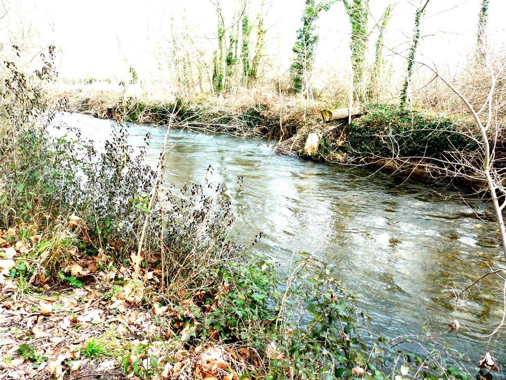 Chateau La Bouriette Moussoulens المظهر الخارجي الصورة